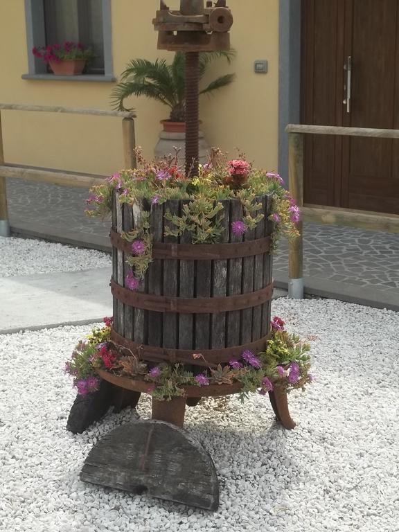 B&B La Casetta Dei Nonni Орвието Номер фото