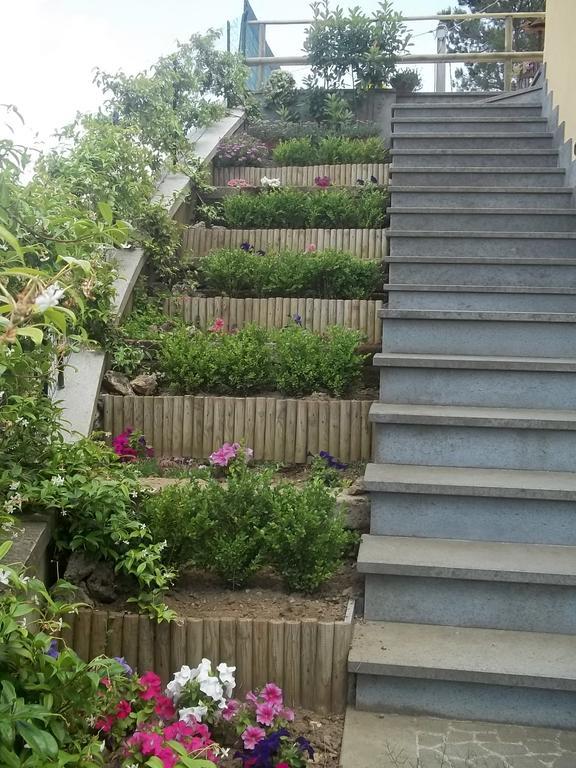 B&B La Casetta Dei Nonni Орвието Номер фото