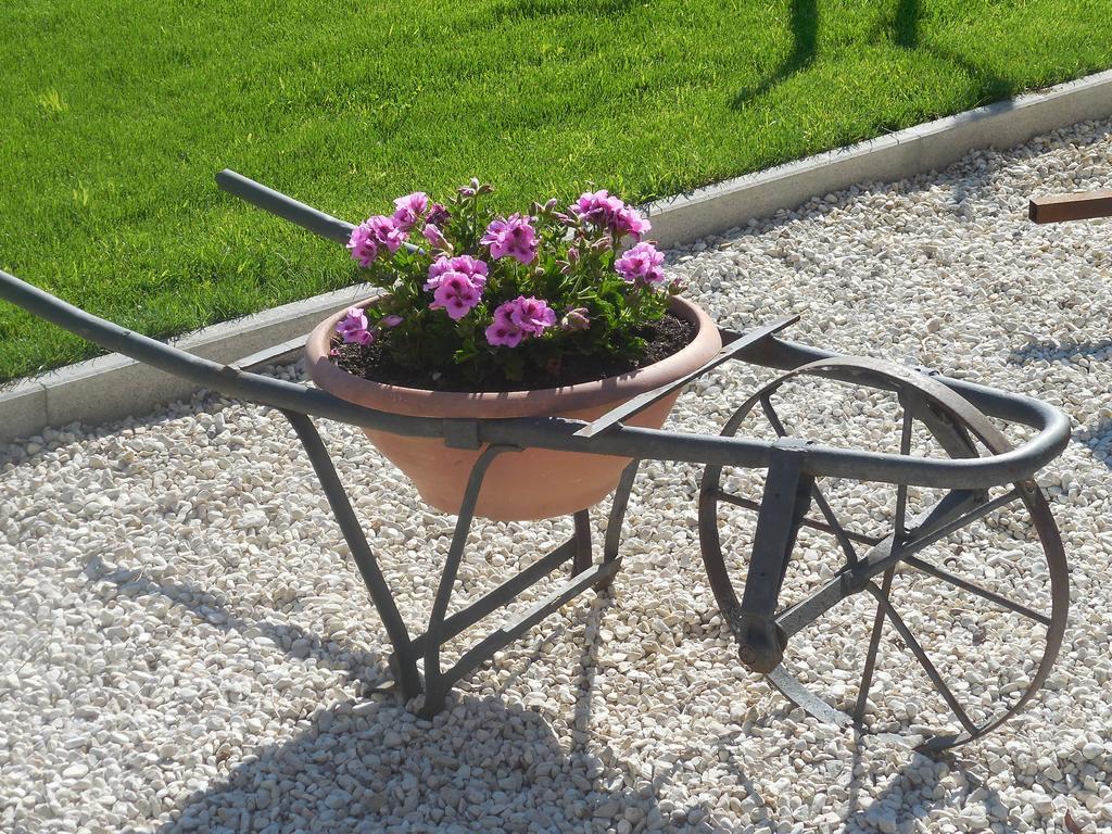 B&B La Casetta Dei Nonni Орвието Экстерьер фото